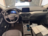  Ford  Kuga  Titanium X 2.0 EcoBlue 88KW AT8 E6d #22