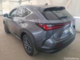 NX
