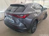 NX