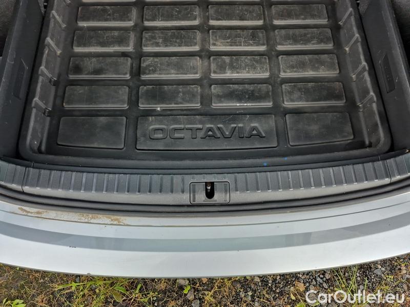  Skoda  Octavia  Combi (NX3)(2020) Oct.C. 2.0TDI 147 Scout 4x4 AT #13