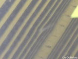 Peugeot  308 Peugeot  SW 1.5 BHDi 130KM S&S Active Pack BuEAT8 5d #30