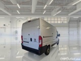 Ducato