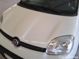  Fiat  Panda FIAT  / 2011 / 5P / BERLINA 1.0 FIREFLY 70CV SeS HYBRID #30