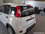  Fiat  Panda FIAT  / 2011 / 5P / BERLINA 1.0 FIREFLY 70CV SeS HYBRID #70