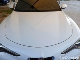  Alfa Romeo   STELVIO ALFA ROMEO / 2017 / 5P / SUV 2.2 TD 190 CV SUPER BUSINESS AT8 Q4 #23