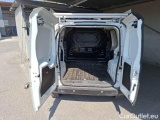 Fiorino