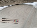  Ford  Transit  Custom Kasten 340 L1 Trend 2.0 TDCi 96KW AT6 E6dT #31
