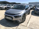 C4 Cactus