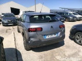 C4 Cactus