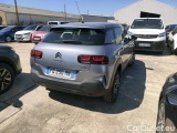 C4 Cactus