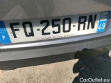 C4 Cactus