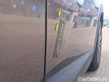  Hyundai  Tucson 1.6 CRDI 136 DCT-7 HYBRID 48V BUSINESS #63