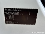  Skoda  KAMIQ 1.0 TSI 116 DSG SELECTION #8