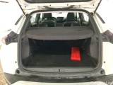 Peugeot  2008  Active Business 1.2 PureTech 100CV BVM6 E6d #10