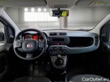 Fiat  Panda FIAT  / 2012 / 5P / BERLINA 1.2 69 CV VAN EURO6D 4 POSTI EASY #3