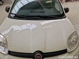  Fiat  Panda FIAT  / 2012 / 5P / BERLINA 1.2 69 CV VAN EURO6D 4 POSTI EASY #24