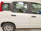  Fiat  Panda FIAT  / 2012 / 5P / BERLINA 1.2 69 CV VAN EURO6D 4 POSTI EASY #41