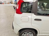  Fiat  Panda FIAT  / 2012 / 5P / BERLINA 1.2 69 CV VAN EURO6D 4 POSTI EASY #46