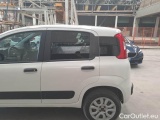  Fiat  Panda FIAT  / 2012 / 5P / BERLINA 900CC 85CV VAN EU6D 4X4 2P.POP #41
