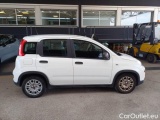  Fiat  Panda FIAT  / 2011 / 5P / BERLINA 1.0 FIREFLY 70CV SeS HYBRID #7