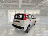  Fiat  Panda FIAT  / 2011 / 5P / BERLINA 1.2 69CV SeS E6D-TEMP EASY #3