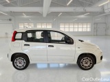  Fiat  Panda FIAT  / 2011 / 5P / BERLINA 1.2 69CV SeS E6D-TEMP EASY #8