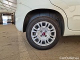  Fiat  Panda FIAT  / 2011 / 5P / BERLINA 1.2 69CV SeS E6D-TEMP EASY #19