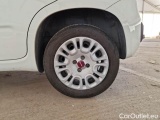  Fiat  Panda FIAT  / 2011 / 5P / BERLINA 1.2 69CV SeS E6D-TEMP EASY #20