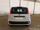  Fiat  Panda FIAT  / 2011 / 5P / BERLINA 1.2 69CV SeS E6D-TEMP EASY #47
