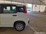  Fiat  Panda FIAT  / 2011 / 5P / BERLINA 1.2 69CV SeS E6D-TEMP EASY #49