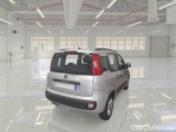  Fiat  Panda FIAT  / 2011 / 5P / BERLINA 1.2 69CV SeS E6D-TEMP LOUNGE #2