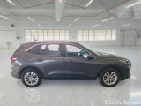  Ford  Kuga FORD  / 2019 / 5P / SUV 1.5 ECOBLUE 120CV 2WD TITANIUM BUS. AUTO #7