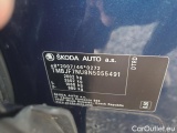 Skoda  Karoq  (NU)(2017->)  2.0 TDI 85 Style #10