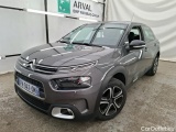 C4 Cactus