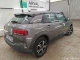 C4 Cactus