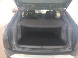  Peugeot  2008  Active Pack 1.2 PureTech 100CV BVM6 E6d #10
