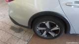  Ford  Focus  Turnier Active 1.5 EcoBlue 85KW AT8 E6d #37