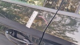  Seat  Leon  Sportstourer Style 2.0 TDI 110KW AT7 E6d #16