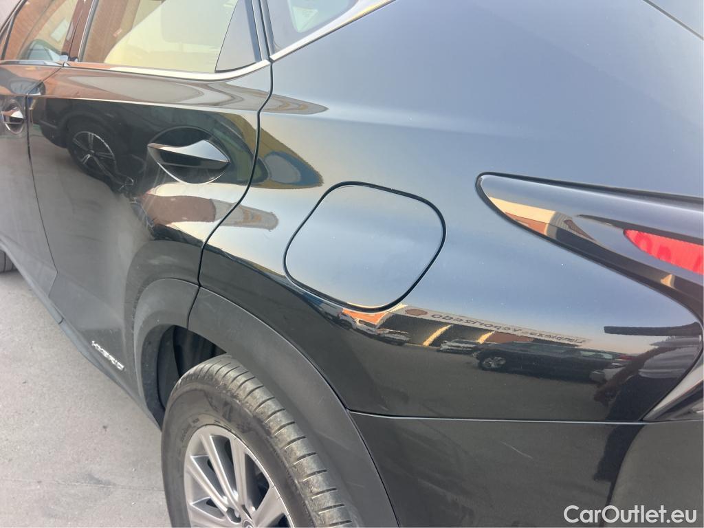  Lexus  NX LEXUS  / 2017 / 5P / todoterreno 2.5 300h Business Navigation 2WD #14