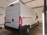 Ducato