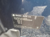  Skoda  Karoq  (NU)(2017->)  2.0 TDI 85 Style #10