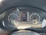  Skoda  Octavia  Lim. (NX3)(2020)  1.4CNG Active G-TEC #25