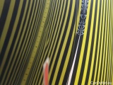 KIA  Cee'd KIA  1.5 T-GDI 160KM 6MT M 5d #31