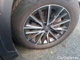  Lexus  NX 2.5 350H PACK BUSINESS 2WD AUTO #19