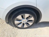  Tesla  Model Y BEV 50KWH RWD #21