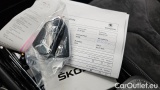  Skoda  ENYAQ 80X #12