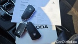  Skoda  Octavia 2.0 TDI DSG 4x4 SCOUT COMBI #12