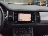  Skoda  Kodiaq  Business 1.5 TSI 150CV BVA7 E6d #7
