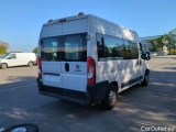 Ducato