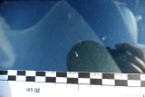  Hyundai  i10  Select 1.0 49KW MT5 E6d #21